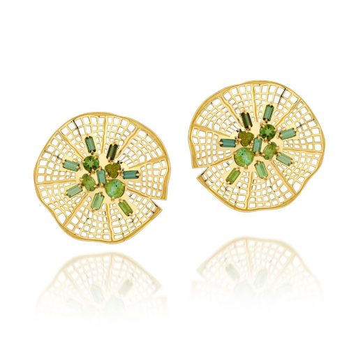 BRINCO VITÓRIA RÉGIA