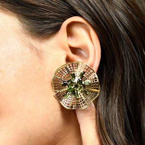 BRINCO VITÓRIA RÉGIA