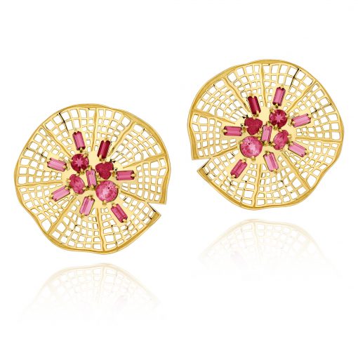 BRINCO VITÓRIA RÉGIA